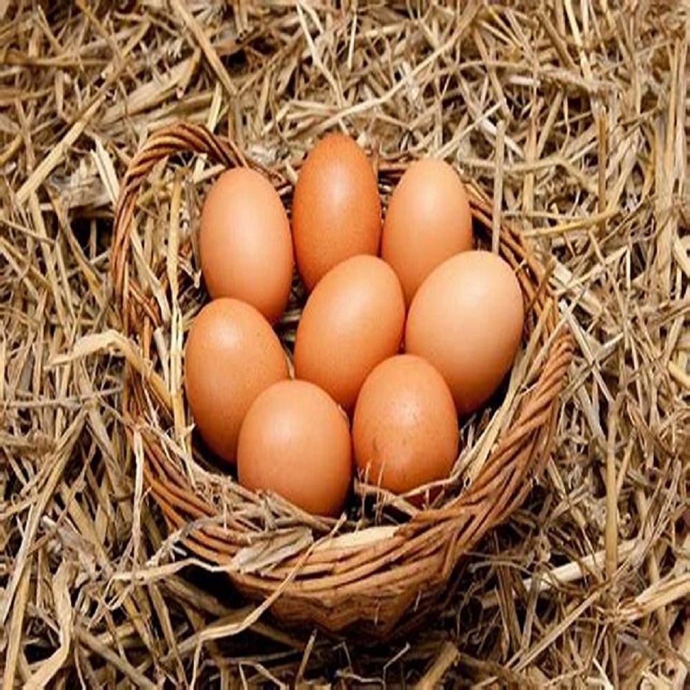 মুরগির ডিম (Frame Egg) -১হালি