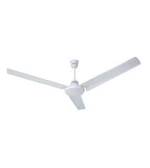 Click Popular Ceiling Fan 56"