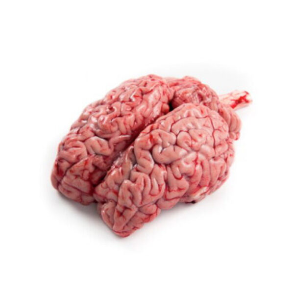 গরুর মগজ (Breef Brain)-1 pc