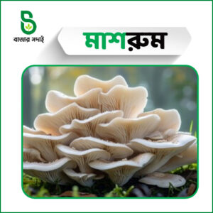 প্রিমিয়াম মাশরুম