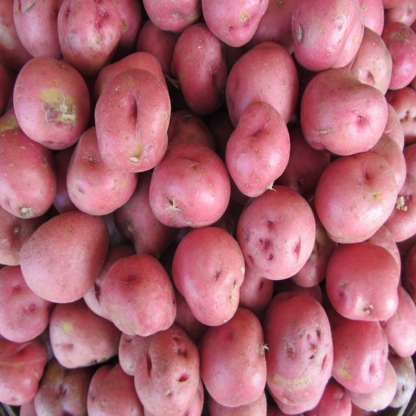 দেশি আলু-1kg