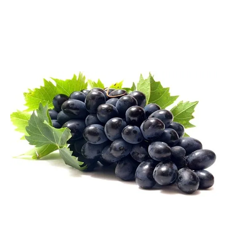 Black Grapes (কালো আঙ্গুর)