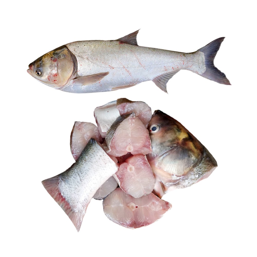 সিলভারকার্প মাছ(SilverCarp)-১কেজি  ±৫০গ্রাম