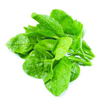 সাদা পুঁই শাক(Pui Spinach)-1 kg