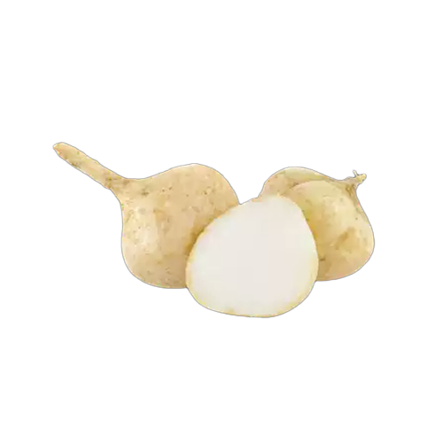 Jicama (Keshor Alu) 1 kg