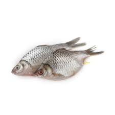 সরপুঁটি মাছ (Sarputi Fish )-১ কেজি  ±৫০গ্রাম