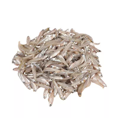 কাঁচকি মাছ ( Kaski Fish)