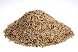 জিরা (Cumin)