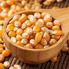 Pop corn seeds (premium quality)-1kg