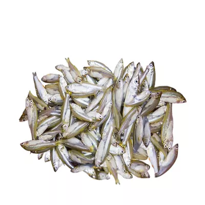 মলা মাছ (Mola Fish)৫০০ গ্রাম থেকে শুরু ± ২০গ্রাম