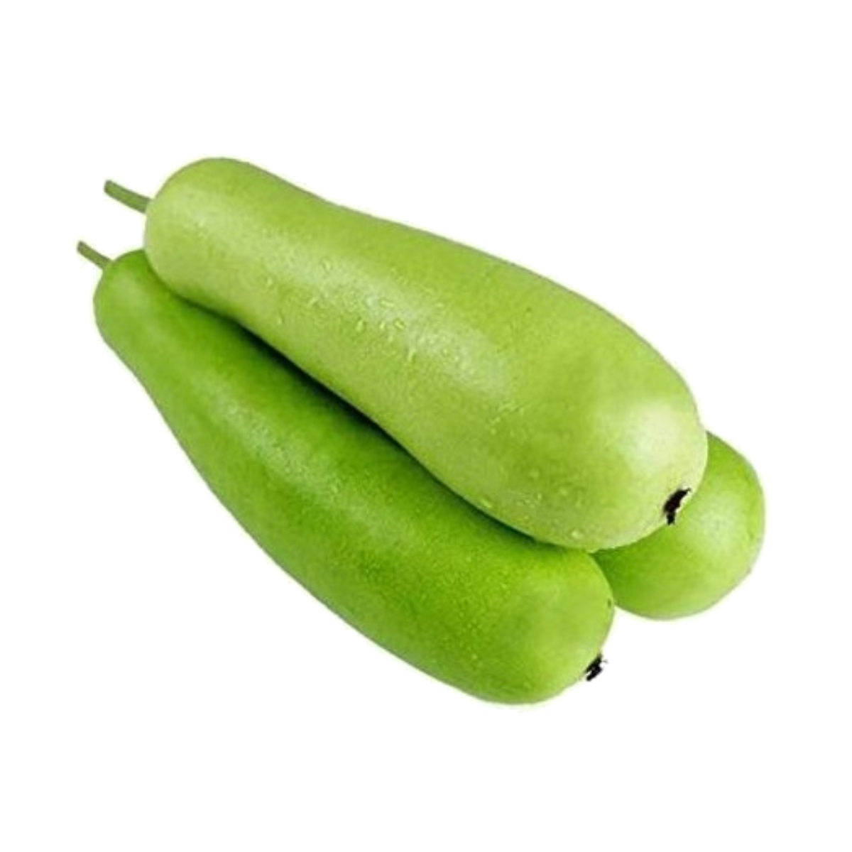 লাউ  (বড়)-Bottle Gourd-1pc