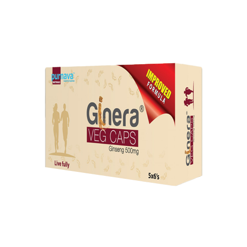 Ginera  Capsule 500mg (30pcs Box)