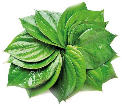 ছোট পান (Small Betel leaf)-80 pcs