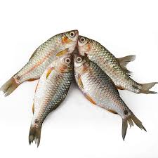 পুঁটিঁঁ মাছ (Puti Fish)-২৫০গ্রাম  ±১০গ্রাম