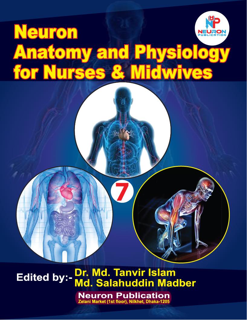 Neuron Anatomy and Physiology for Nurses & Midwives