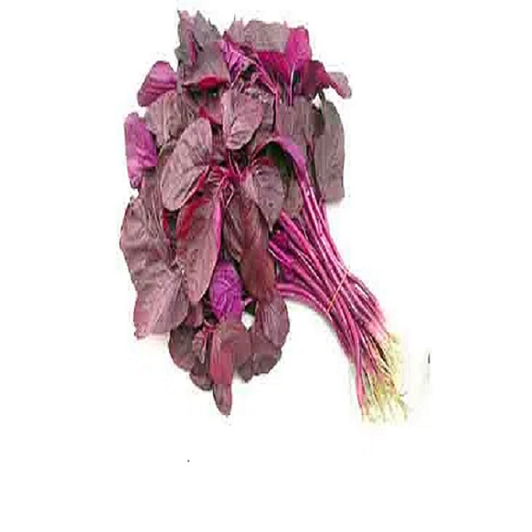 লালশাক (Red Spinach)