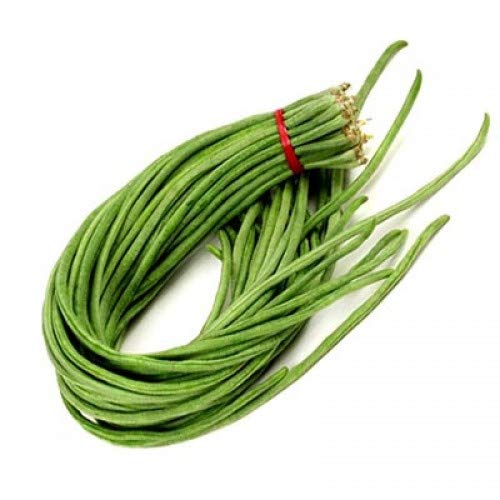 বরবটি -(Asparagus bean)500gm থেকে শুরু ± ১৫গ্রাম