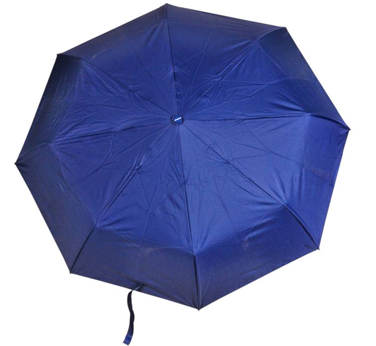 Shankar Auto Open 8 Spoke 2 fold Heavy duty Blue Umbrella